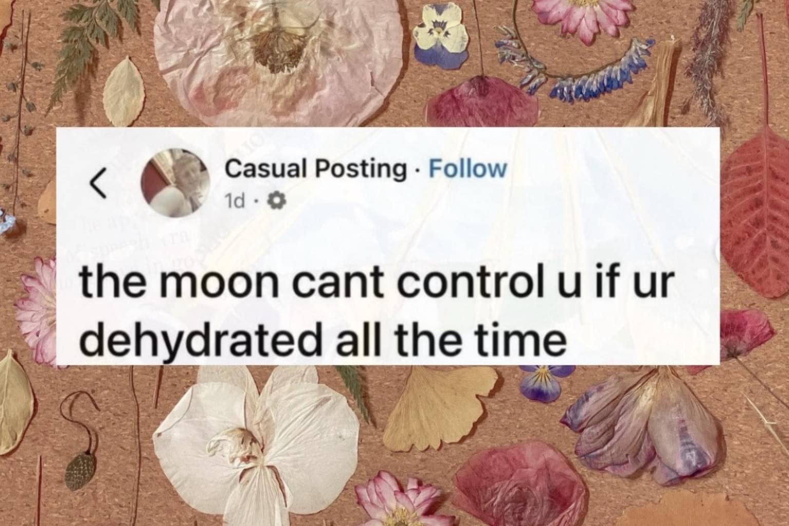 An unhinged meme dump digital gallery showcasing chaotic online humor and absurd everyday observations, featuring a $125 Facebook Marketplace painting of a sensual otter posing on a chaise lounge, a dad dressing his toddler in an old diaper cover believing the leg holes were for pigtails, and a skeleton patiently waiting on a bench for tech companies to reinvent slider phones with physical keyboards.
