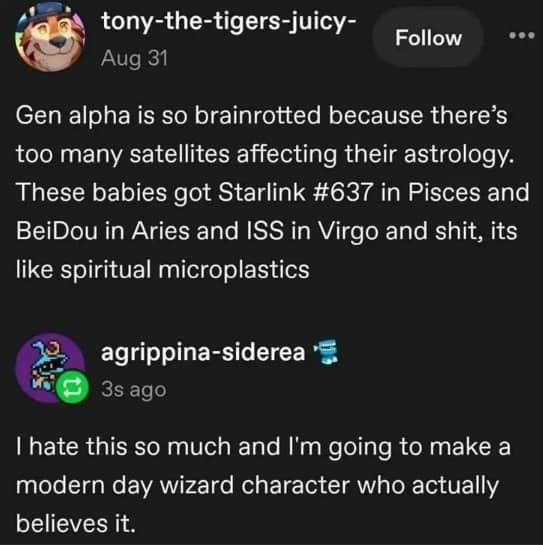 Tumblr post discussing Gen Alpha, satellites, and astrology alongside funny memes comment about wizards.