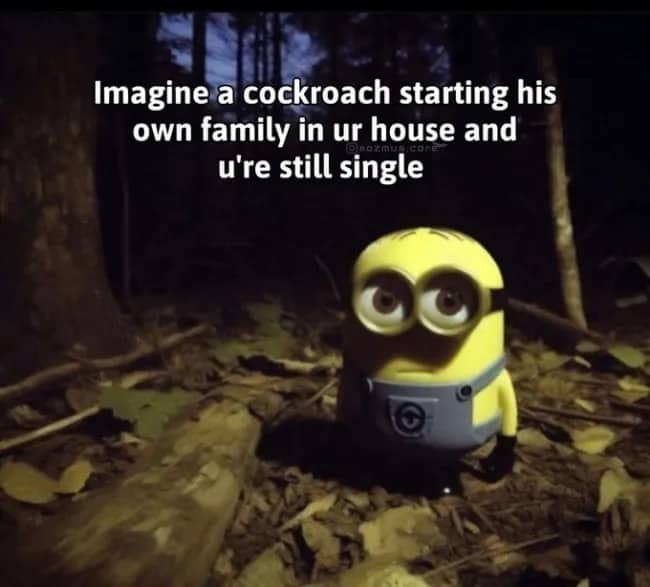 Minion character looking sad with funny text about cockroach families and being single.