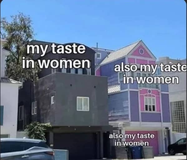 Meme comparing contrasting black and pink houses to describe diverse personal taste in women.