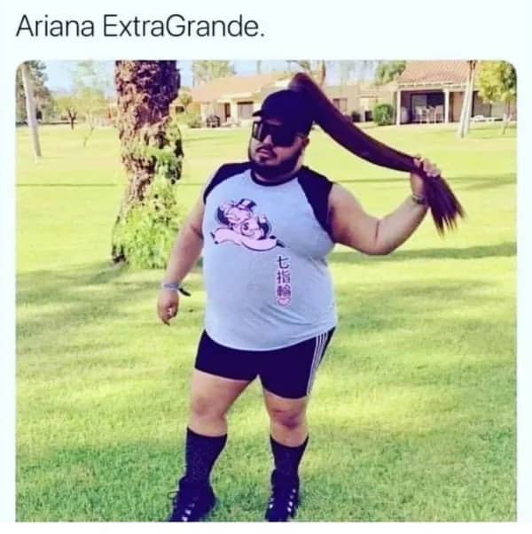 Funny parody meme of Ariana Grande featuring a man wearing a long ponytail.