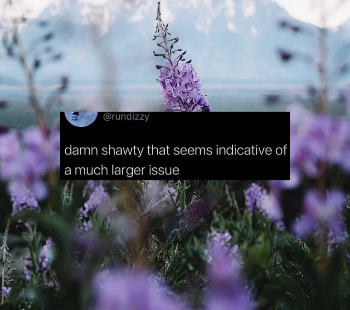 Scenic purple wildflower field background featuring a meme text overlay responding to a complex issue.