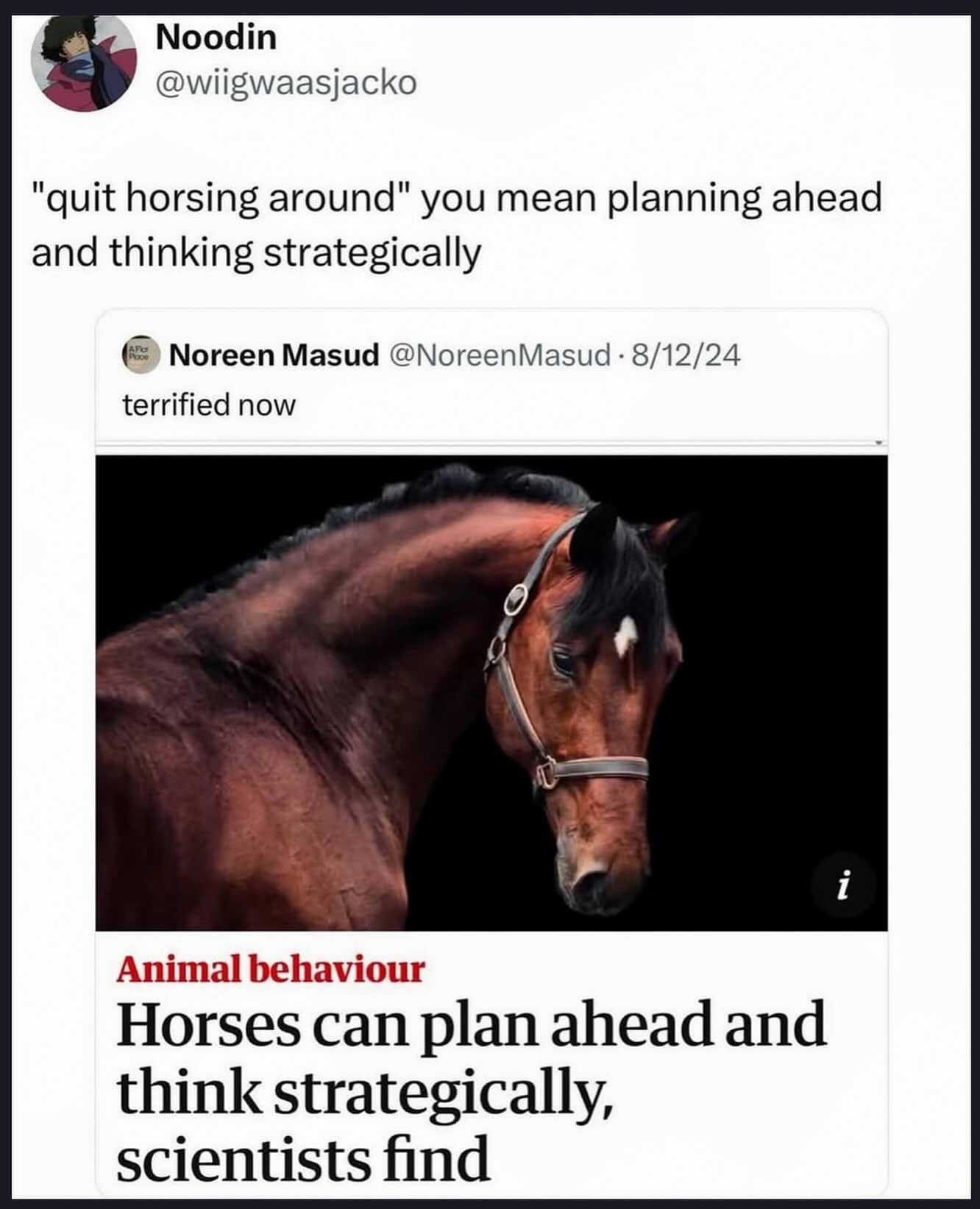 News headline about horse intelligence paired with funny puns social media tweet meme.