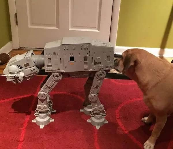 Curious brown dog sniffing the back of a Star Wars AT-AT walker toy funny meme.