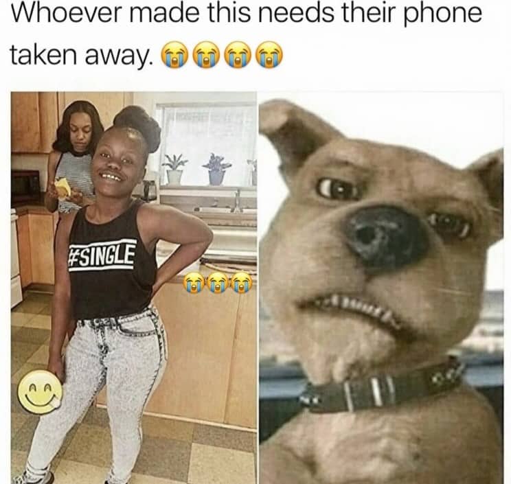 Funny side-by-side comparison meme showing a girl posing next to Scrappy-Doo from Scooby-Doo.