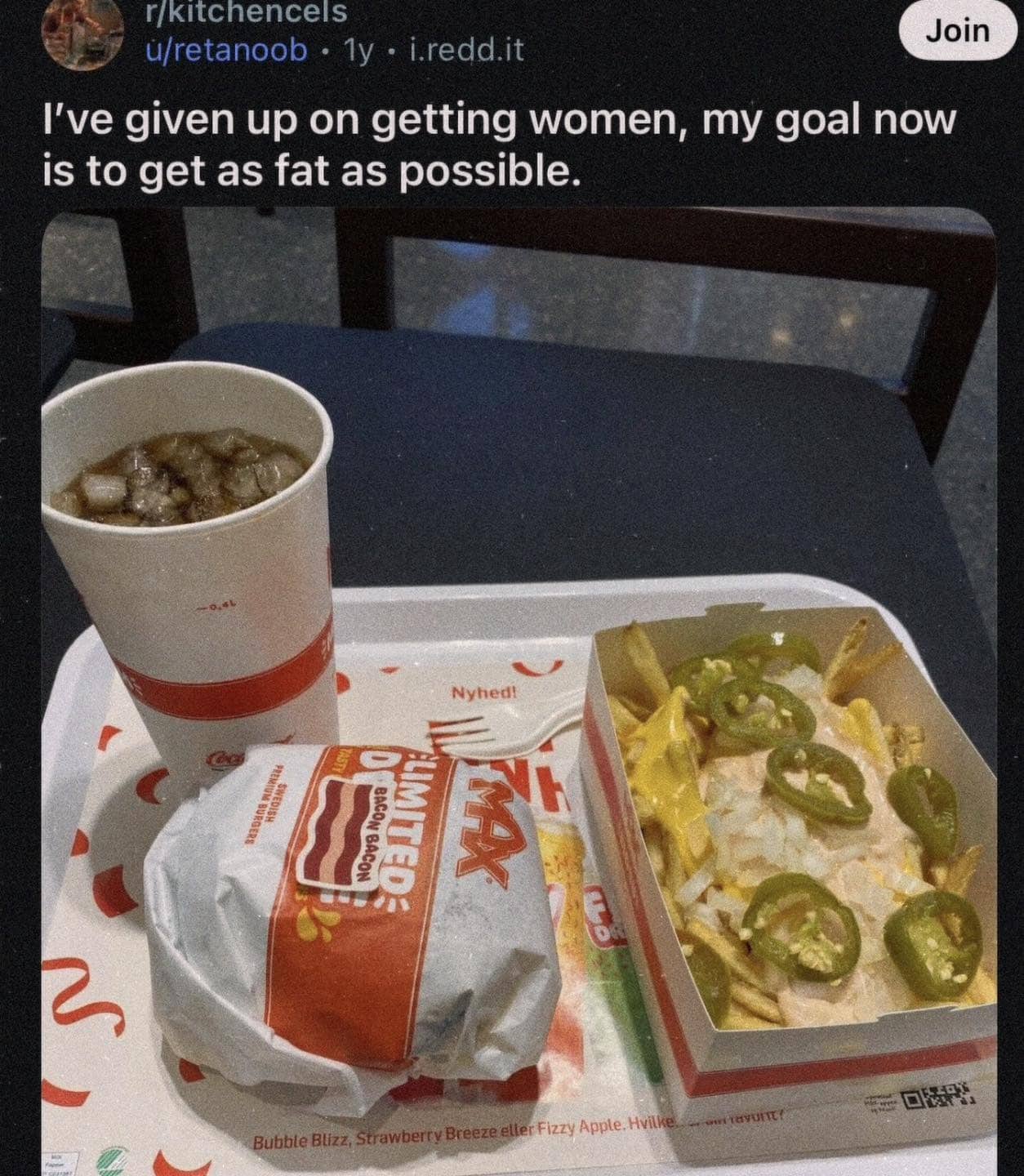 Fast food tray with burger cheese fries and soda featuring a funny Reddit post caption.