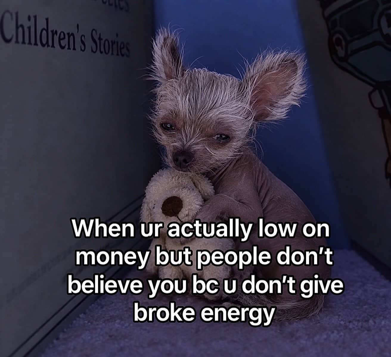 Tiny fluffy dog hugging a stuffed teddy bear with relatable broke energy text caption.