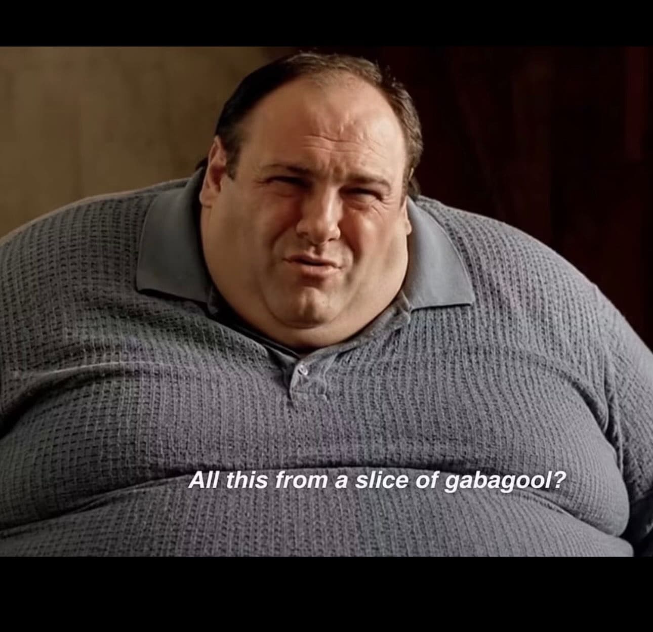 Overweight Tony Soprano funny memes quote asking all this from a slice of gabagool