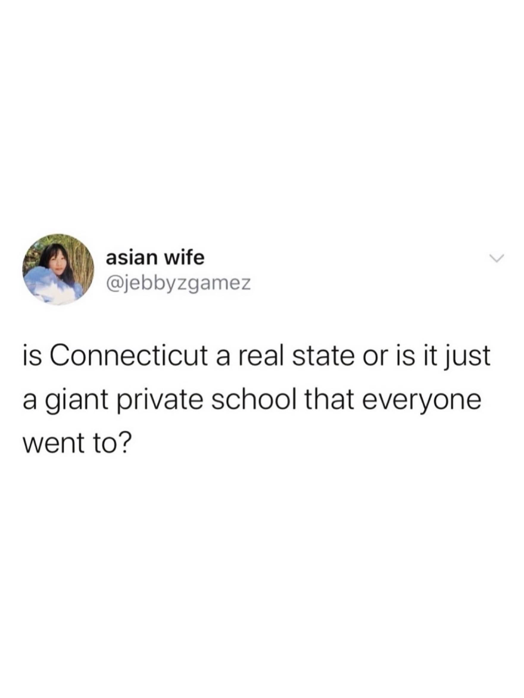 Funny text post meme asking if Connecticut is a real state or private school.