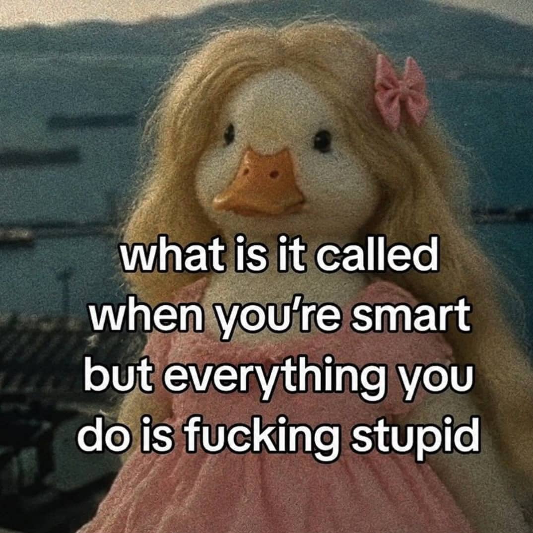 Relatable meme of a cute toy duck with funny text about feeling smart yet stupid.