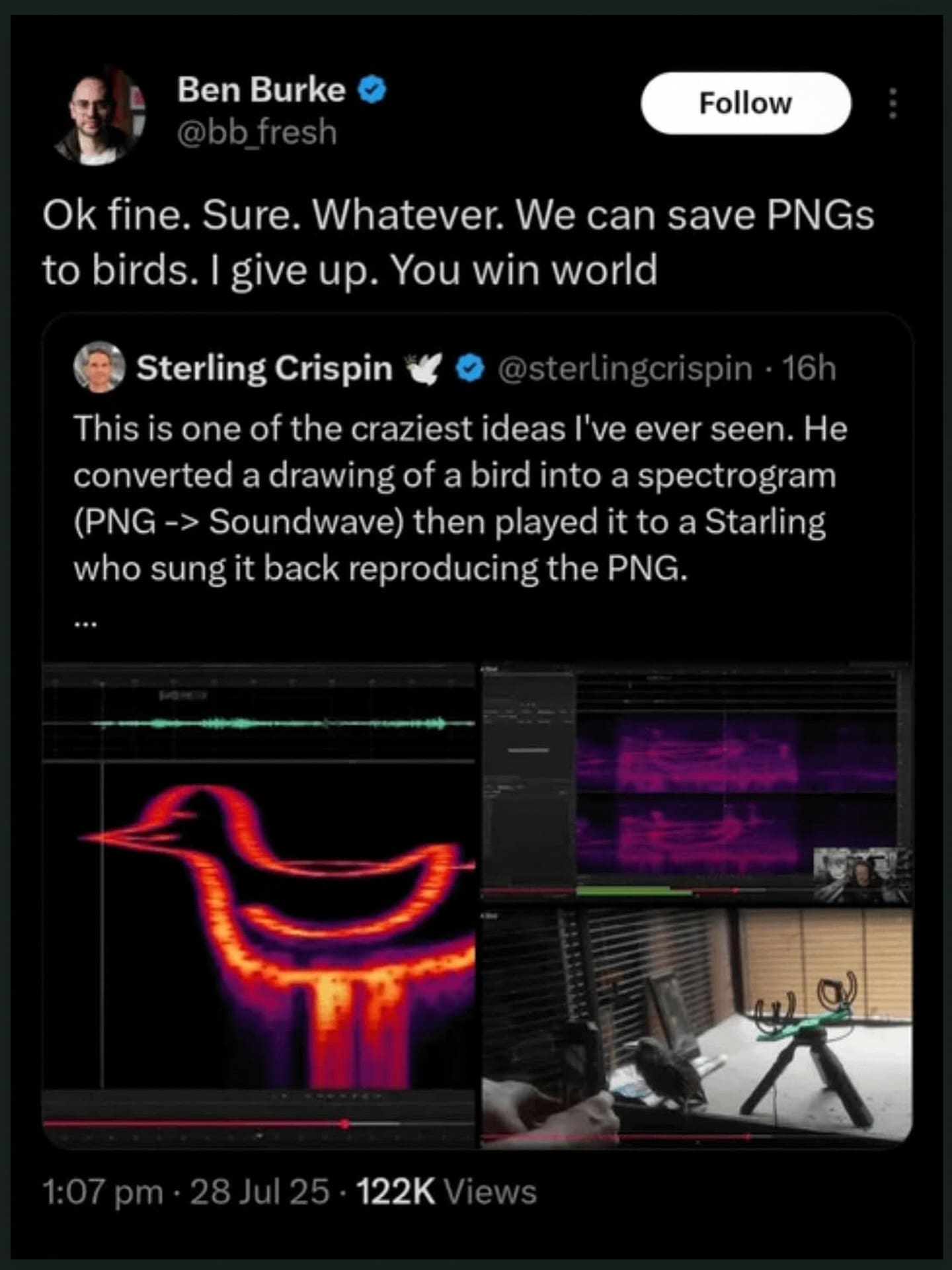 Social media post detailing soundwave spectrogram bird drawing played to starling funny memes