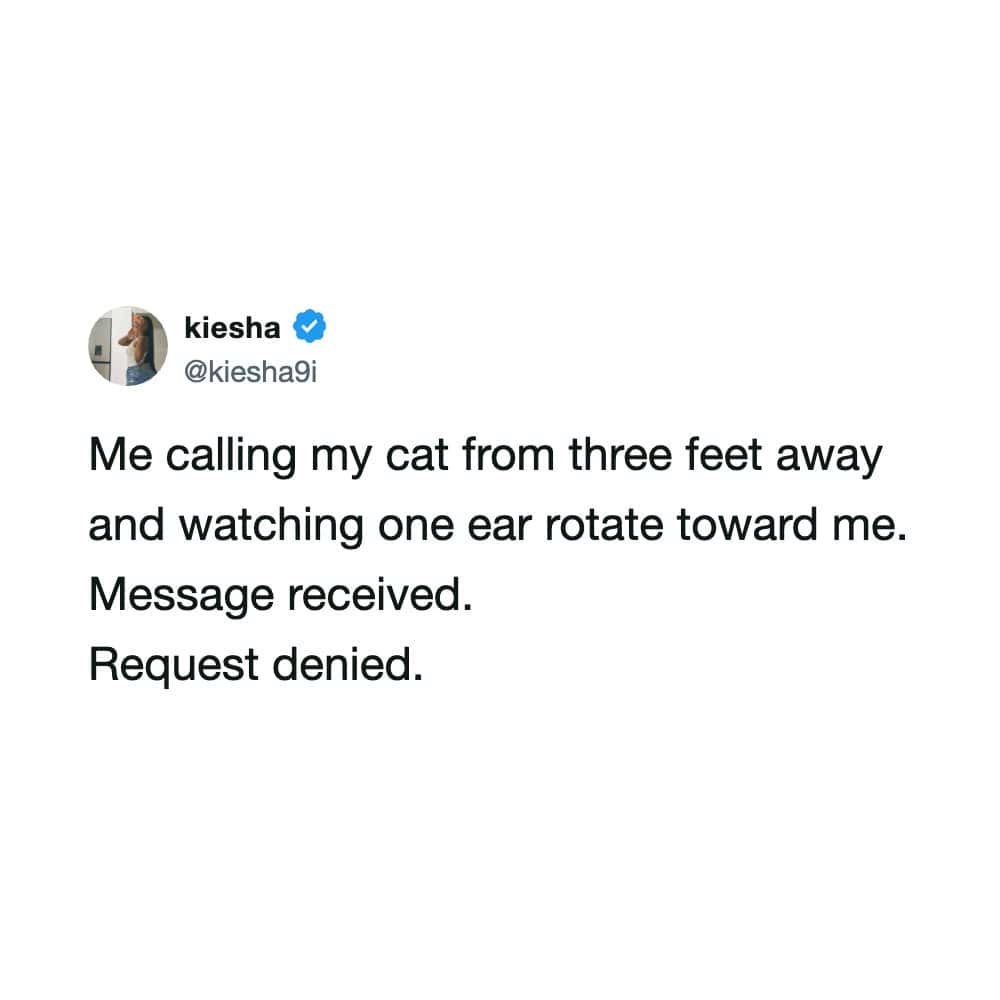Funny tweet meme about calling a cat nearby and getting ignored with an ear twitch.