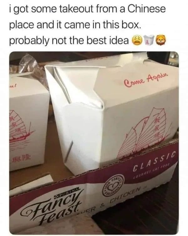 Chinese takeout containers delivered inside a recycled Fancy Feast cat food shipping box