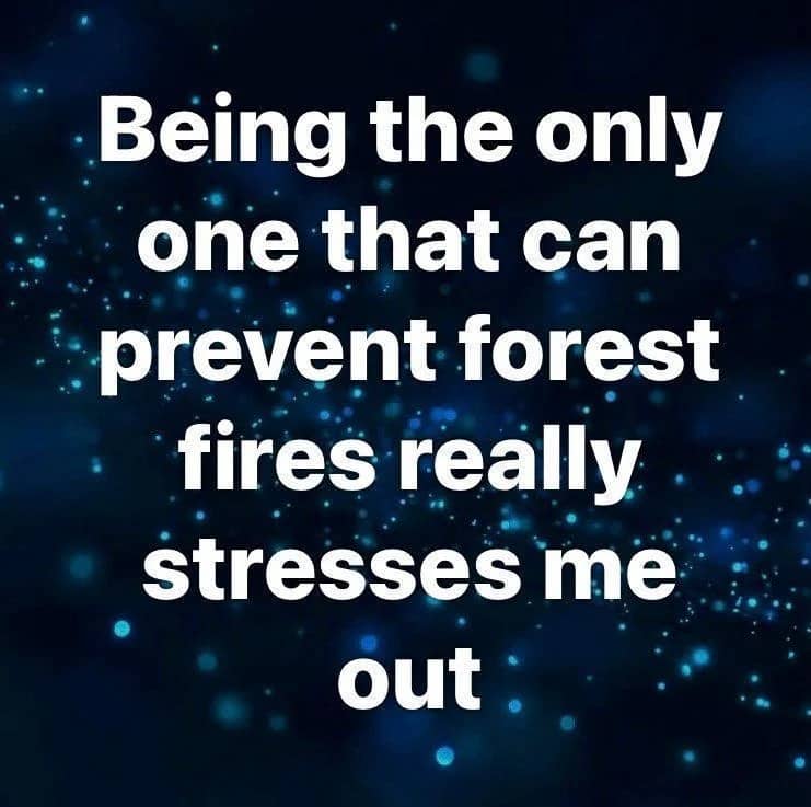 Relatable quote about Smokey Bear feeling stressed being the only one preventing forest fires.