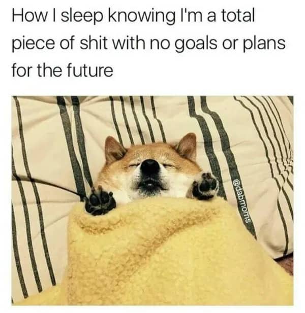 Cute Shiba Inu dog sleeping peacefully under a blanket funny relatable meme.