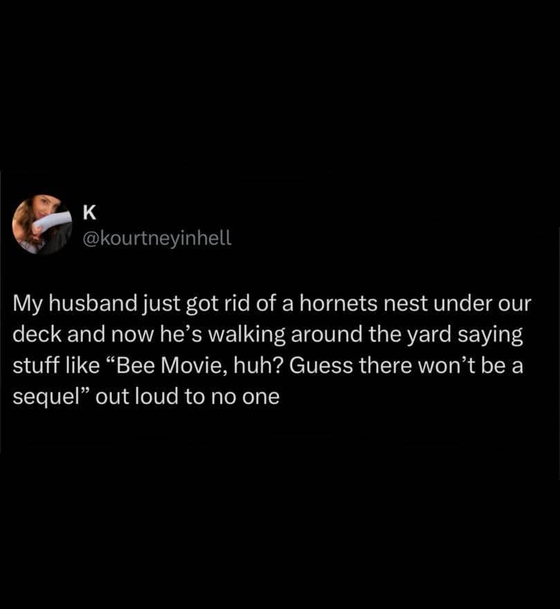 Humorous text post about a husband making jokes after removing a hornets nest.