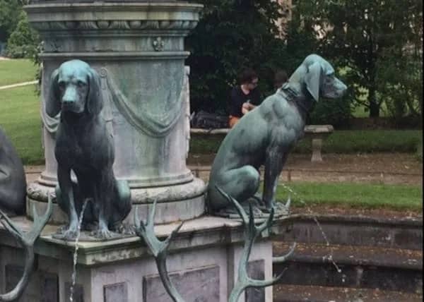 Statue of a hound dog drinking water from its own fountain funny meme.