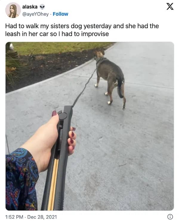 Person walking a dog using a hair straightener flat iron as an improvised leash.