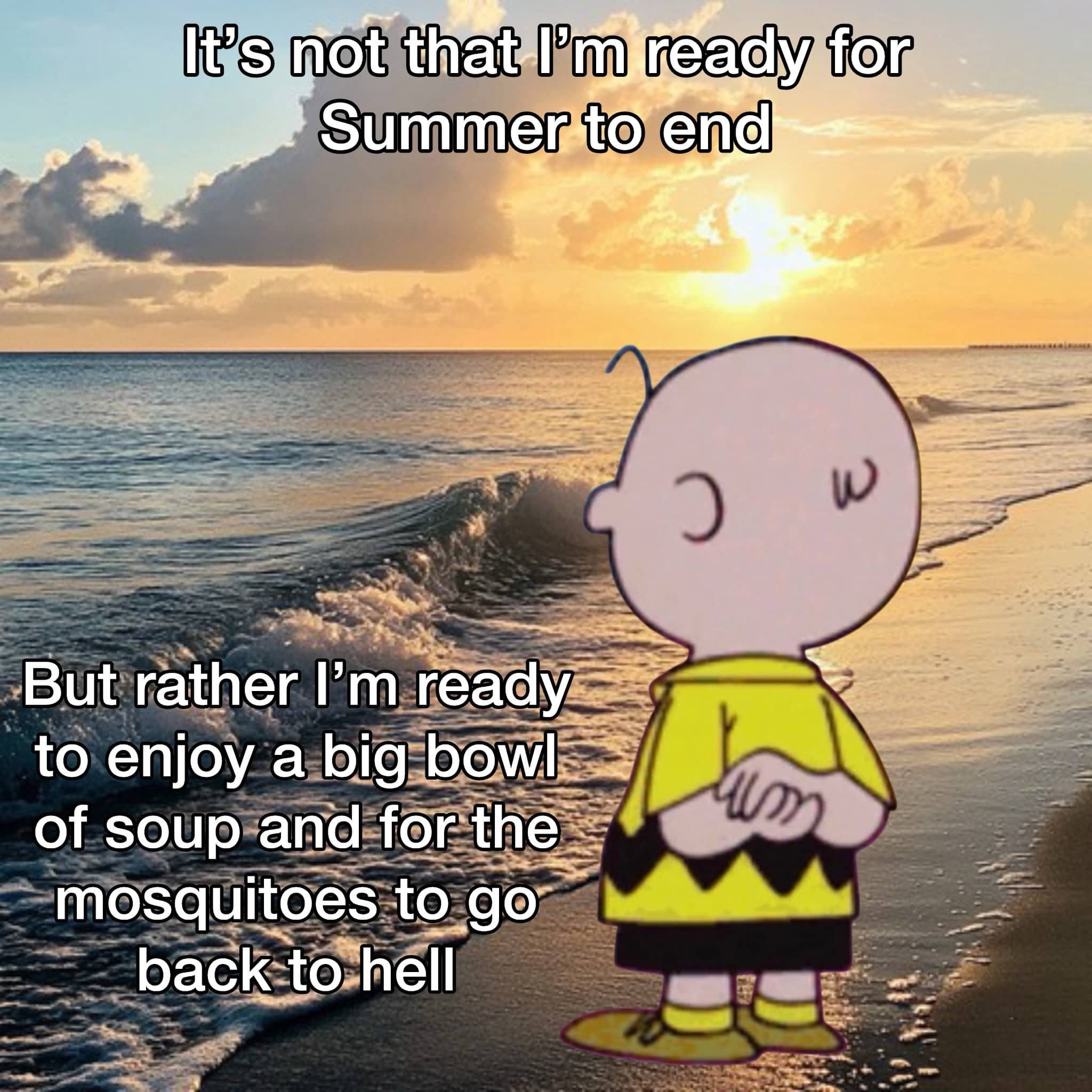 Funny Charlie Brown meme on a beach expressing readiness for soup and cold weather.