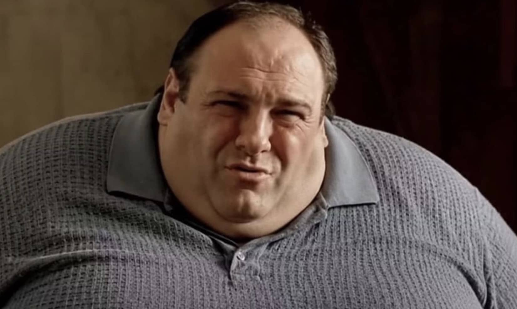 Digitally widened Tony Soprano in a grey sweater squinting skeptically for funny memes.