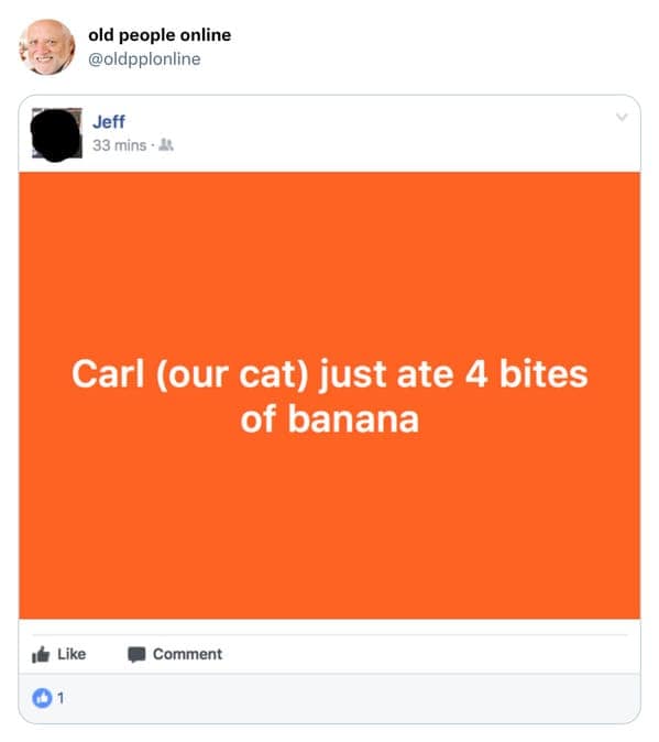 Facebook text post on a bright orange background announcing Carl the cat ate four bites of banana in an old people vs technology post.