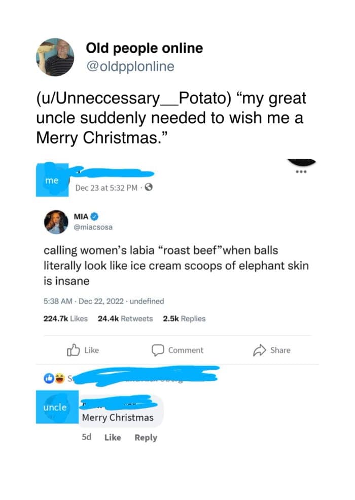 Facebook comment section where an uncle leaves a cheerful 'Merry Christmas' under an explicit anatomy tweet in an old people vs technology moment.