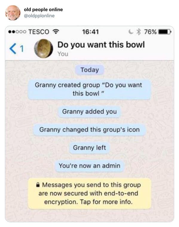 WhatsApp chat log showing a grandmother creating a group about a bowl, transferring admin rights, and abruptly leaving in an old people vs technology message.