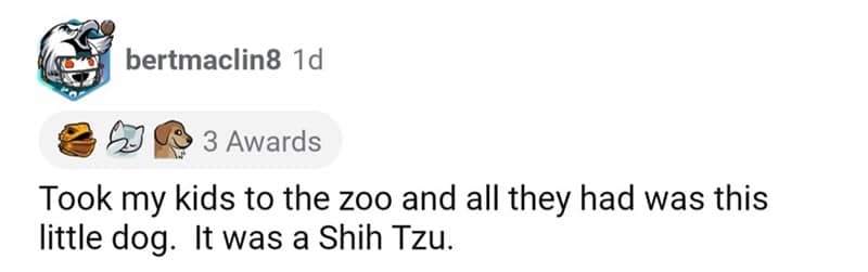 Short old school joke pun about a zoo that only contains one dog.