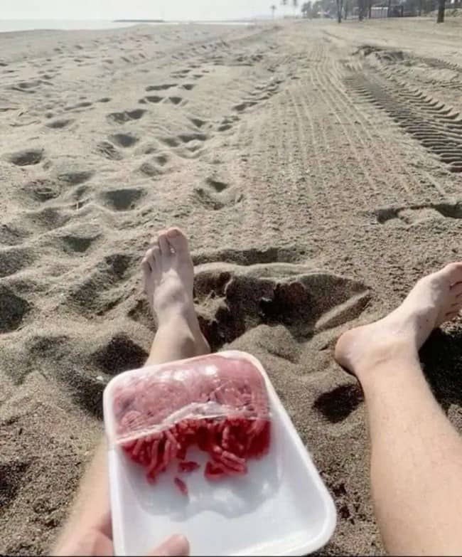 Bare feet on a sandy beach next to a plastic tray of raw ground beef.