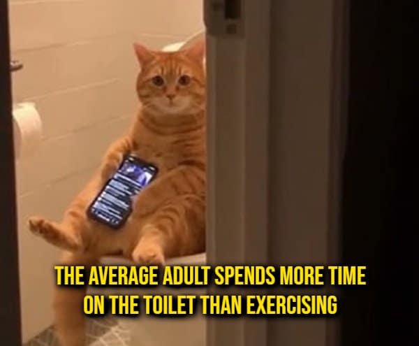 Orange tabby cat sitting upright on a toilet scrolling on a smartphone, illustrating a lifestyle random fact about bathroom time versus exercise.