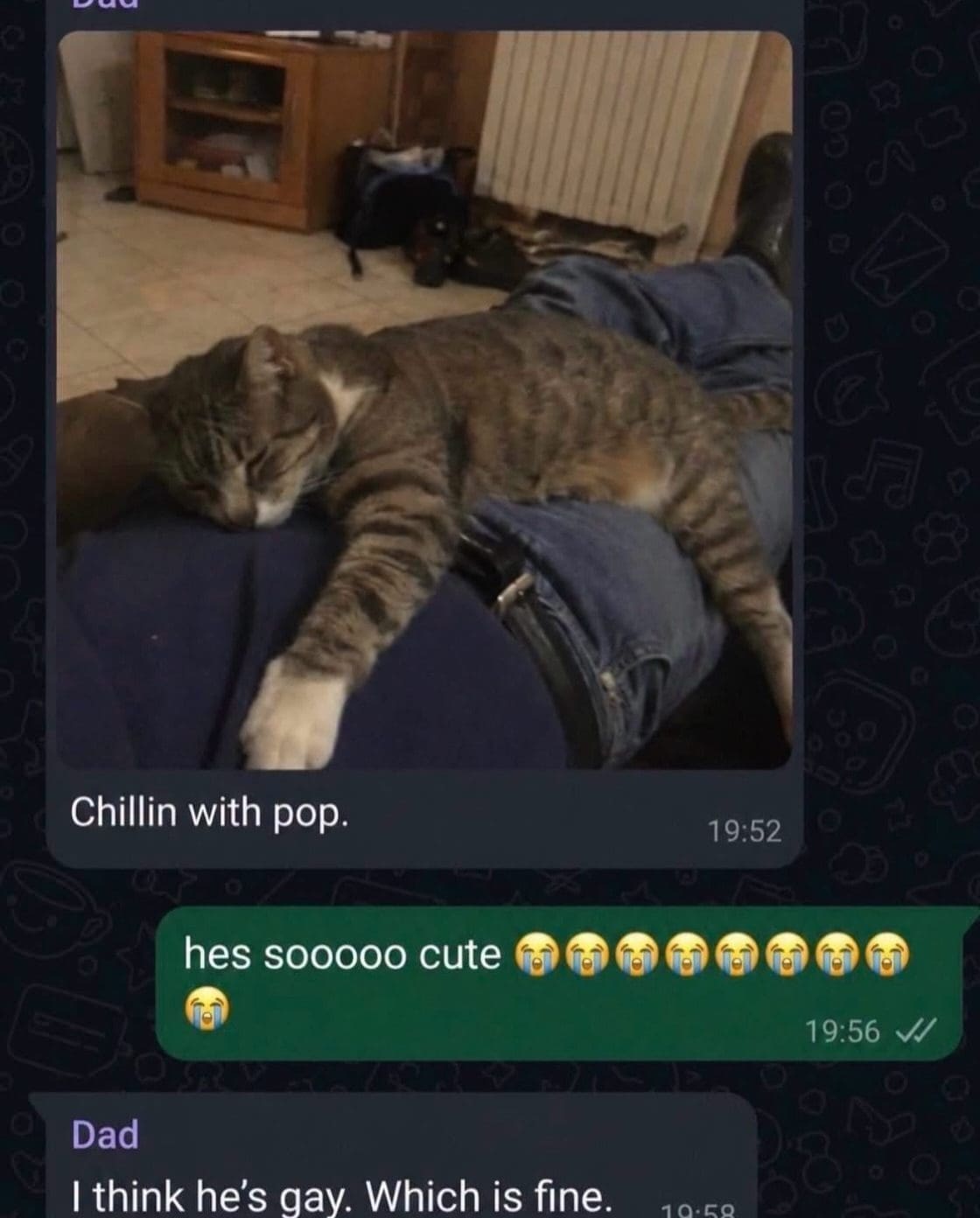 Dad texts a photo of his cat asleep on his lap, then adds a deadpan opinion.