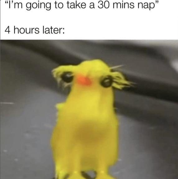 Frazzled yellow bird toy captioned as waking up four hours into a thirty-minute nap.