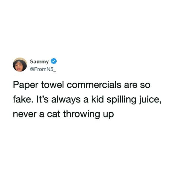 Tweet noting paper towel ads show spilled juice, never a cat throwing up.