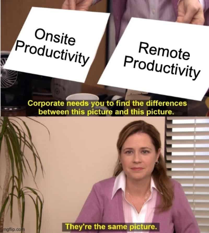 Pam from The Office holding papers labeled 'Onsite Productivity' and 'Remote Productivity' declaring they are the same picture in a self employed meme.