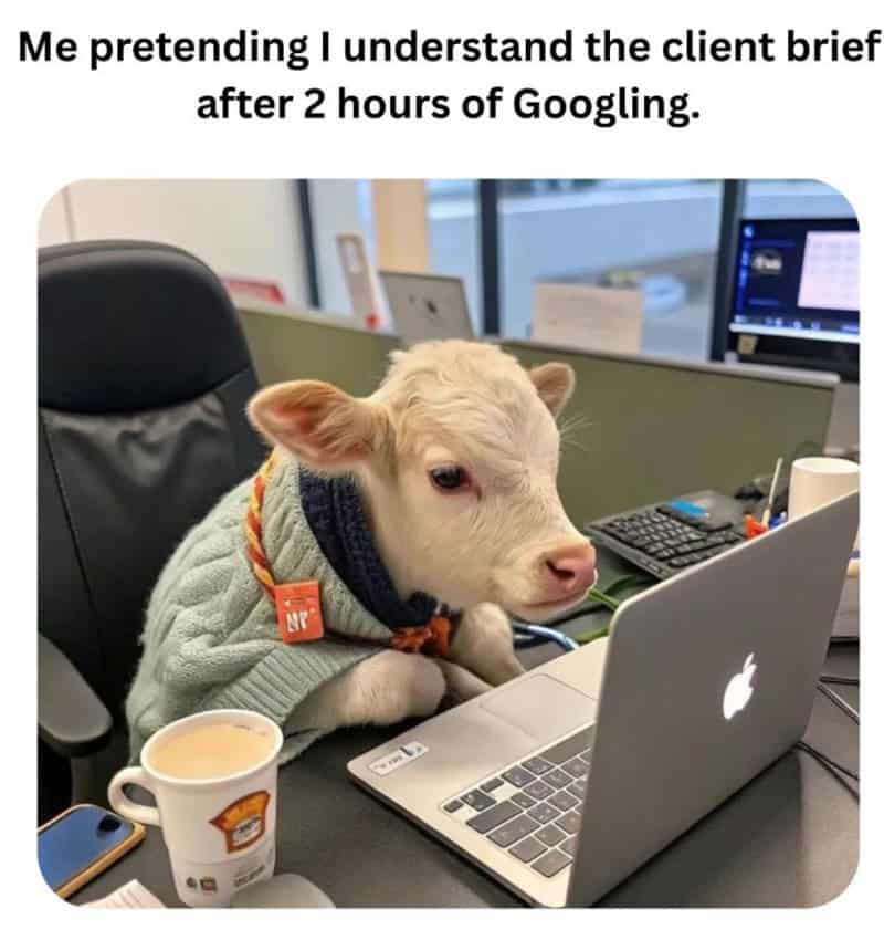 Adorable calf wearing a cozy sweater sitting at a laptop with coffee in a freelancer meme about client briefs.
