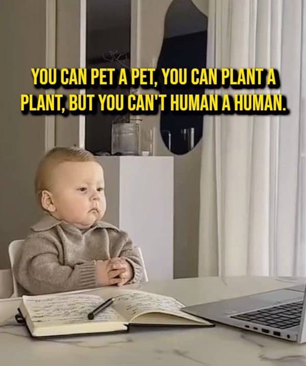 Baby in a coat at a laptop beside a shower thought about verbs made from ordinary nouns