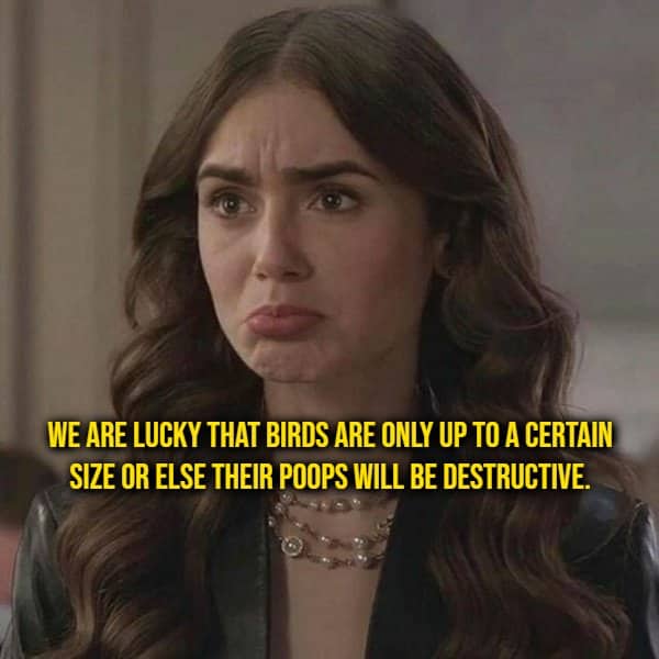 Woman grimacing beside a shower thought about how destructive larger birds would be overhead