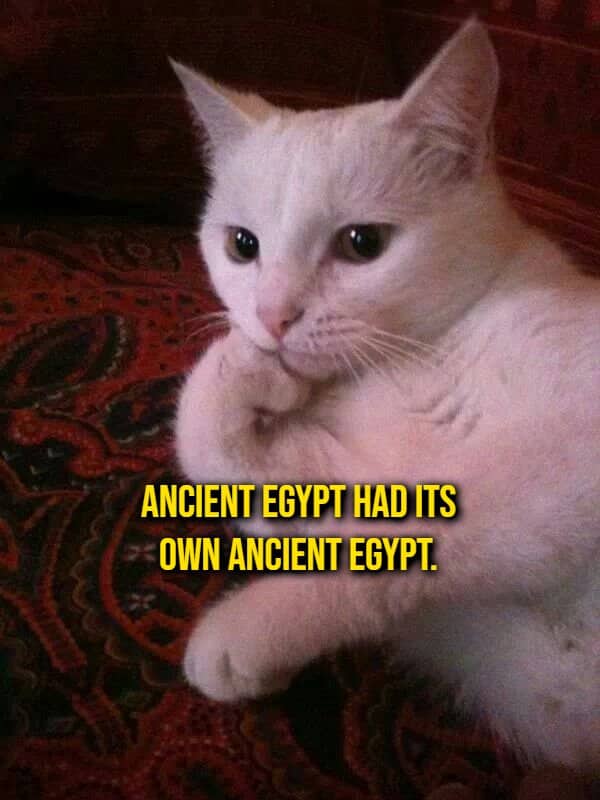 White cat resting on a rug beside a shower thought that ancient Egypt had its own ancient Egypt
