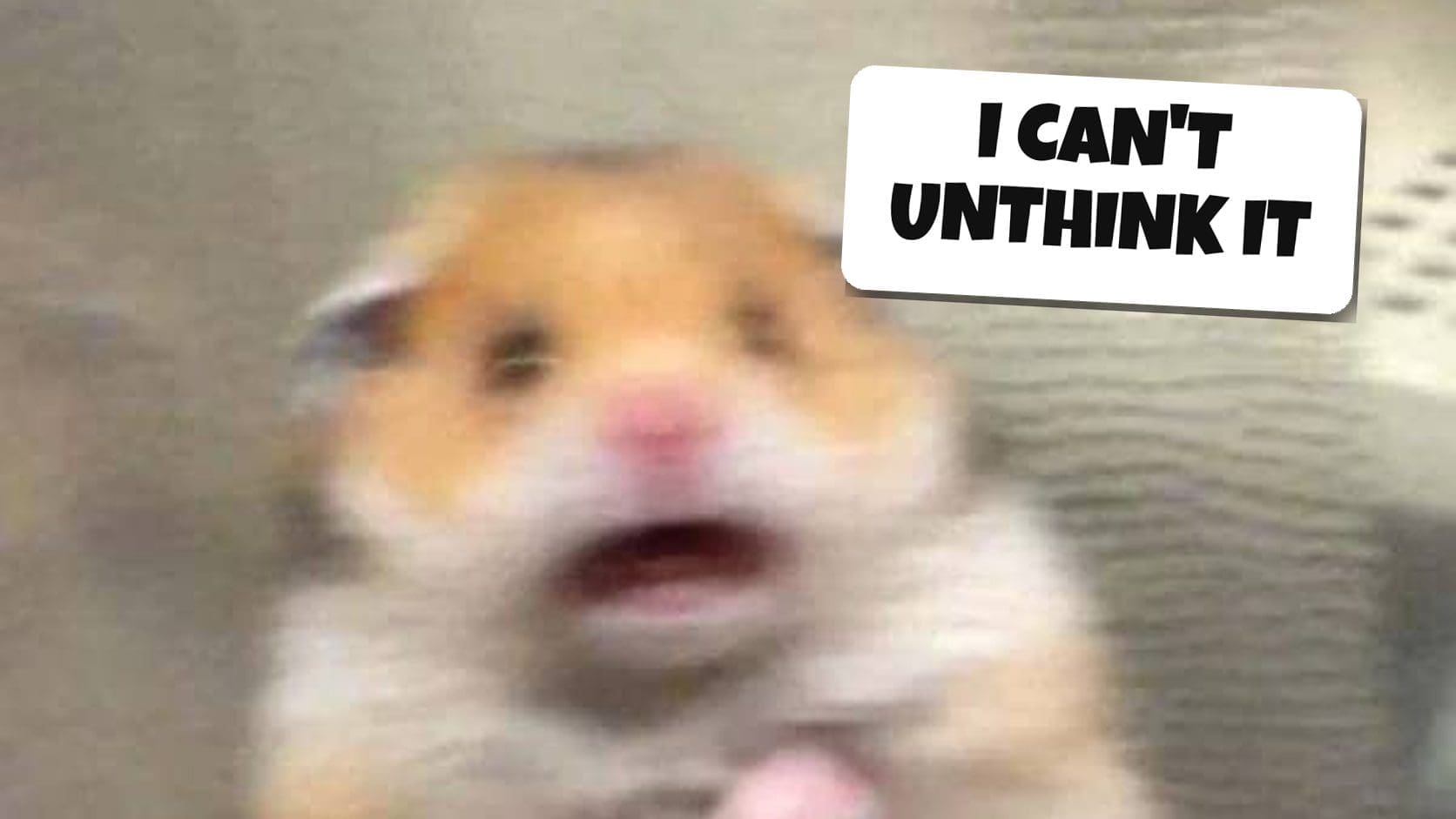Screaming hamster meme photograph used as a reaction to shower thoughts that are impossible to stop hearing