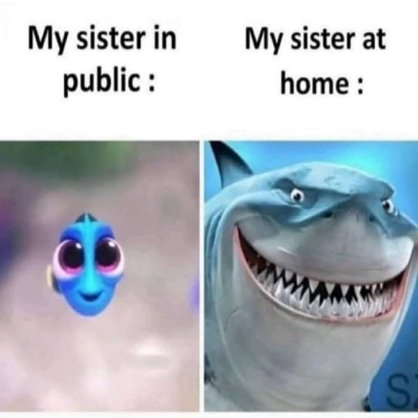plit meme image comparing cute Dory fish to a terrifying shark smile.
