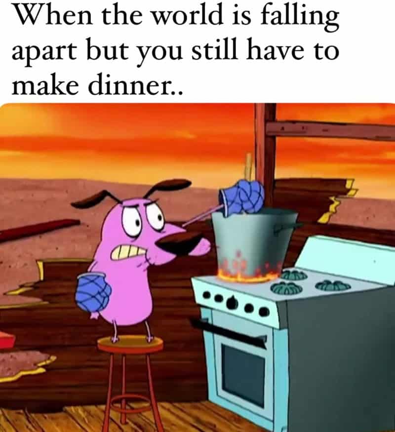 Courage the Cowardly Dog cooking during an apocalypse in a stressful adult dinner meme.