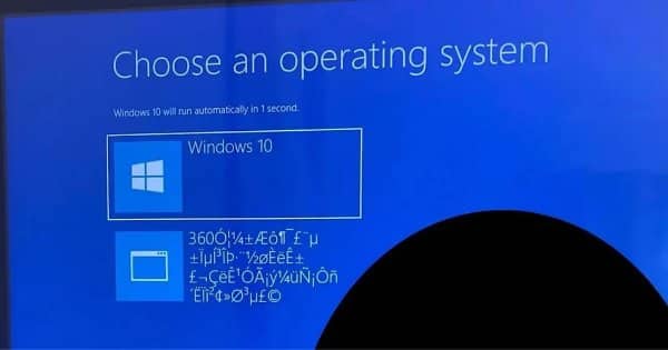 Boot menu offering Windows 10 or a second operating system named in garbled symbols.