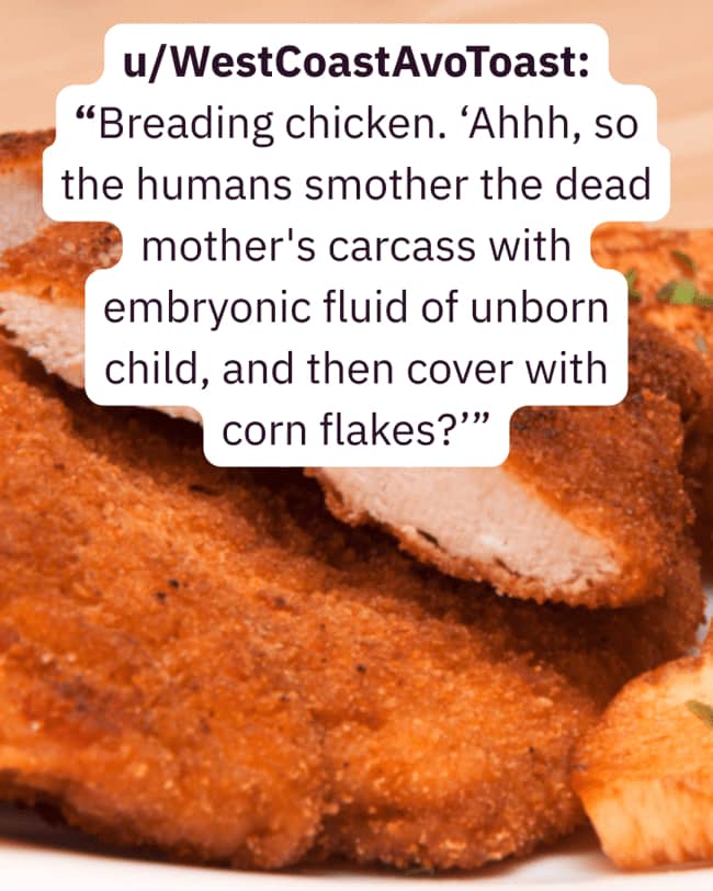 Crispy fried chicken background with a quote on things humans do that would confuse aliens.