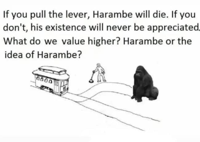 Trolley problem with a gorilla on the tracks asking about Harambe or the idea of Harambe