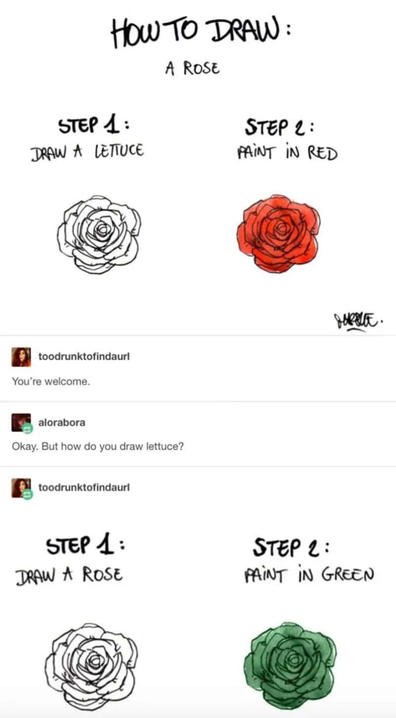 Hand-drawn step-by-step guide humorously showing how to draw a rose by coloring lettuce red