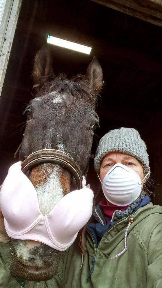 Large brown horse wearing a pink bra over its snout next to masked owner.