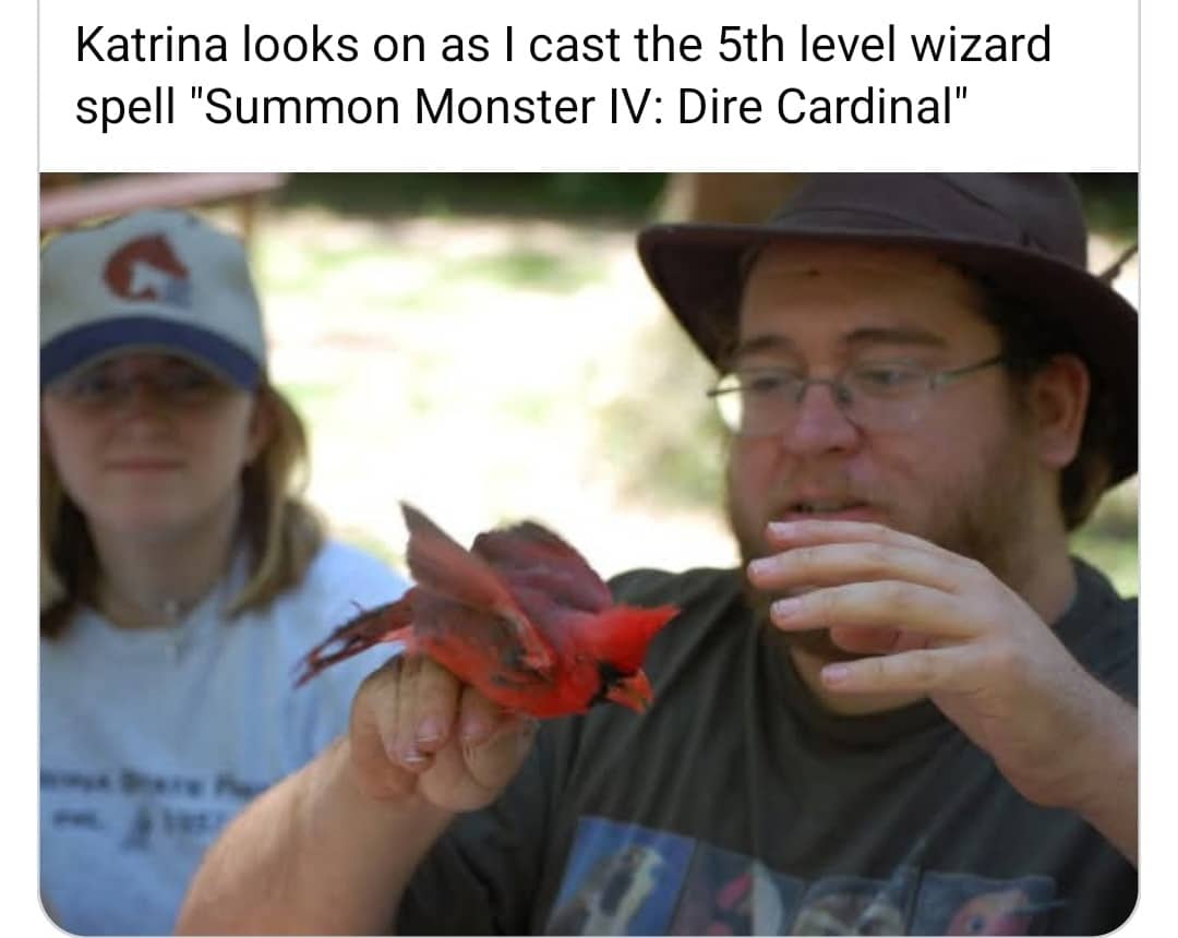 Man holding a small red bird pretending to cast summon spells in wizard memes.